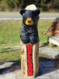 Bear3